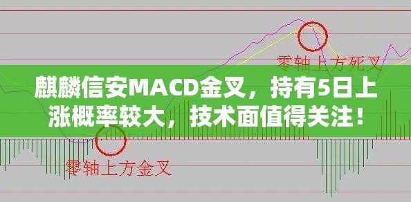 麒麟信安MACD金叉，持有5日上涨概率较大，技术面值得关注！