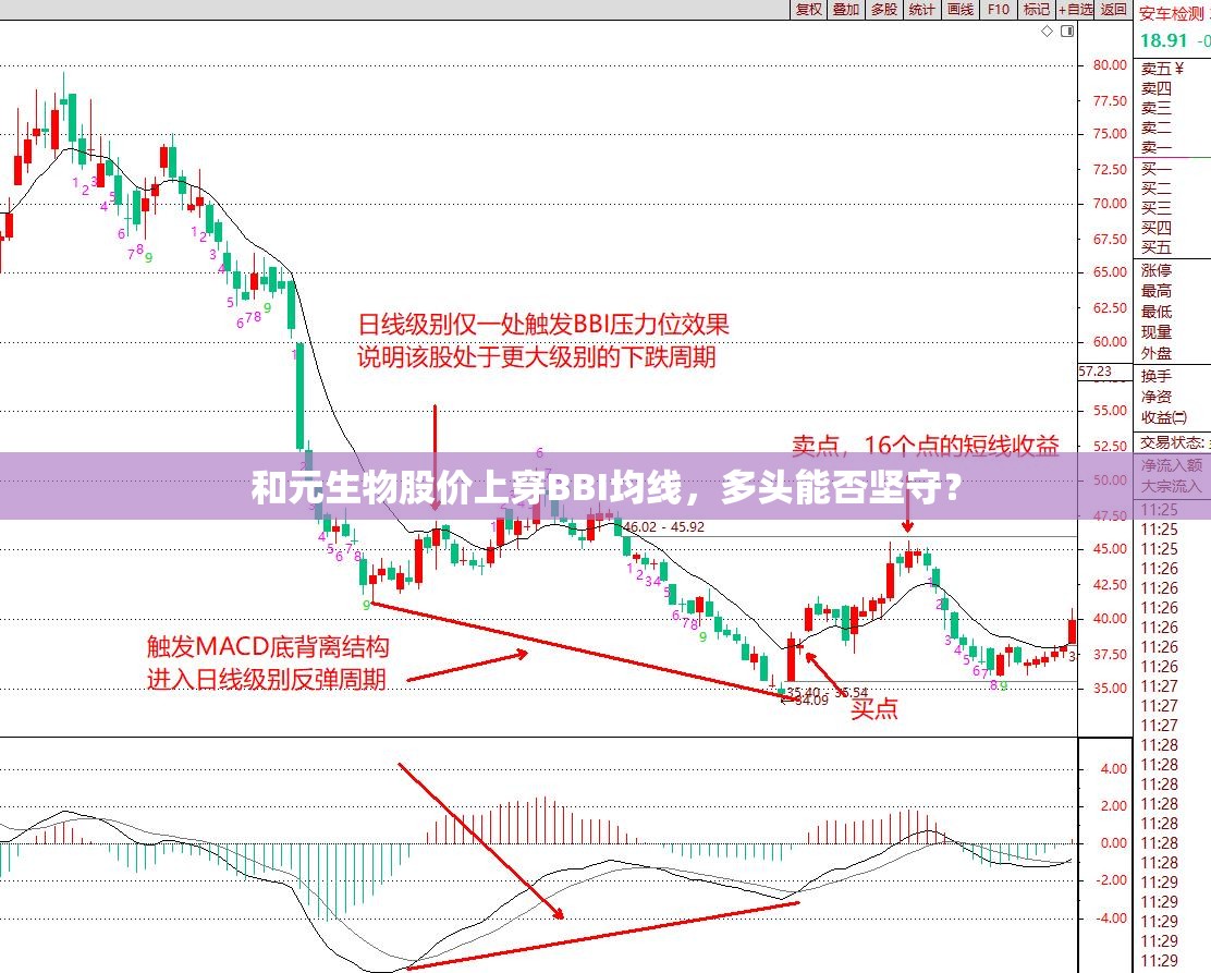 和元生物股价上穿BBI均线，多头能否坚守？
