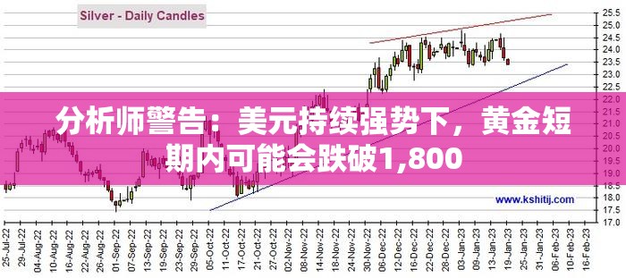 分析师警告：美元持续强势下，黄金短期内可能会跌破1,800