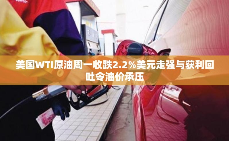 美国WTI原油周一收跌2.2%美元走强与获利回吐令油价承压
