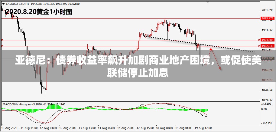 亚德尼：债券收益率飙升加剧商业地产困境，或促使美联储停止加息