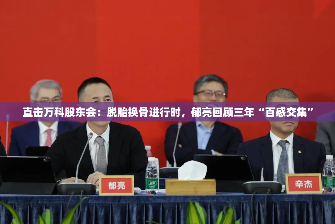 直击万科股东会：脱胎换骨进行时，郁亮回顾三年“百感交集”