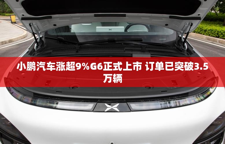 钱睿慈 第6页