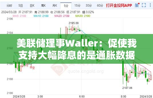 美联储理事Waller：促使我支持大幅降息的是通胀数据
