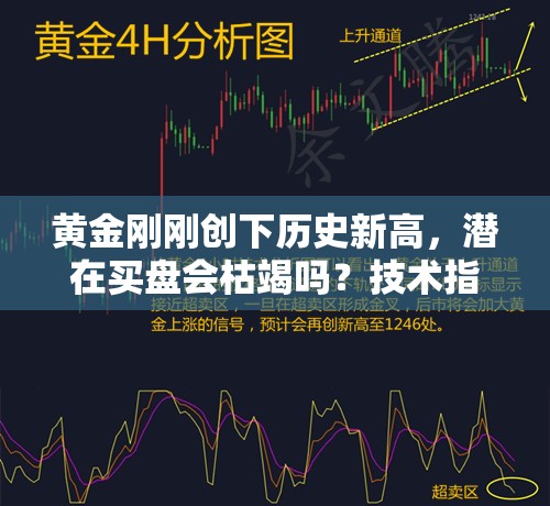 国际 第44页