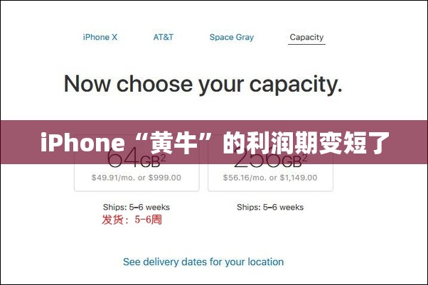 iPhone“黄牛”的利润期变短了