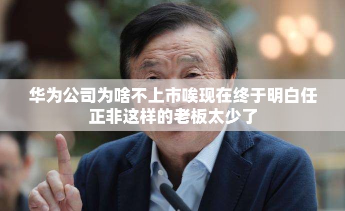 华为公司为啥不上市唉现在终于明白任正非这样的老板太少了