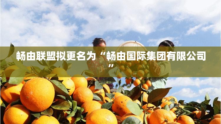龙博涛 第3页