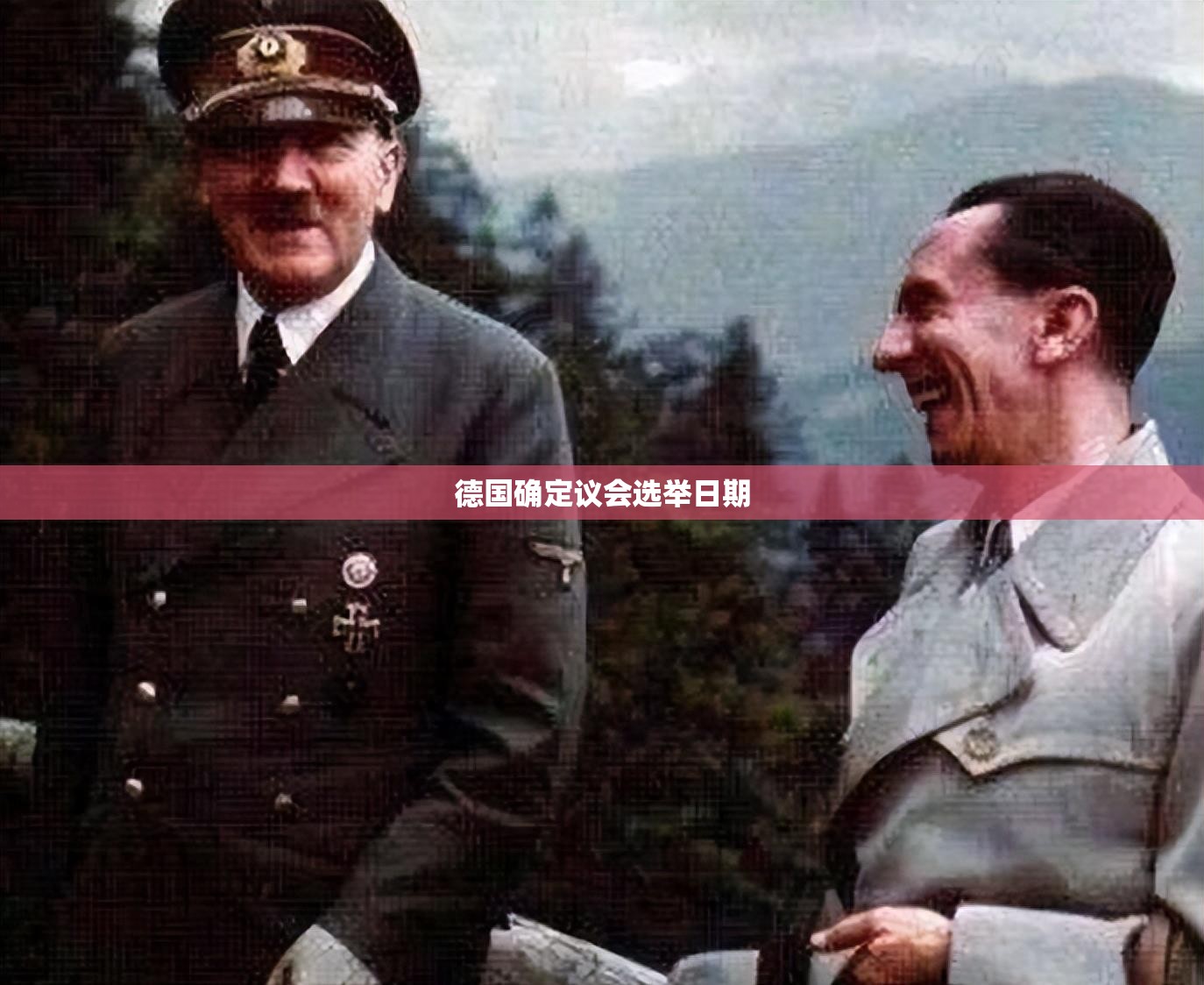 德国确定议会选举日期