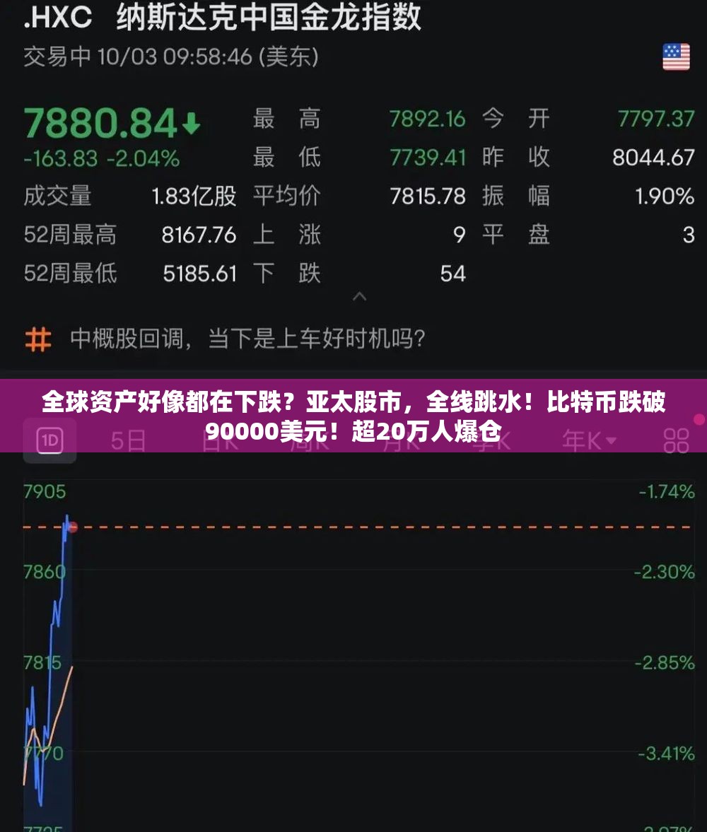 牛鸿畅 第3页