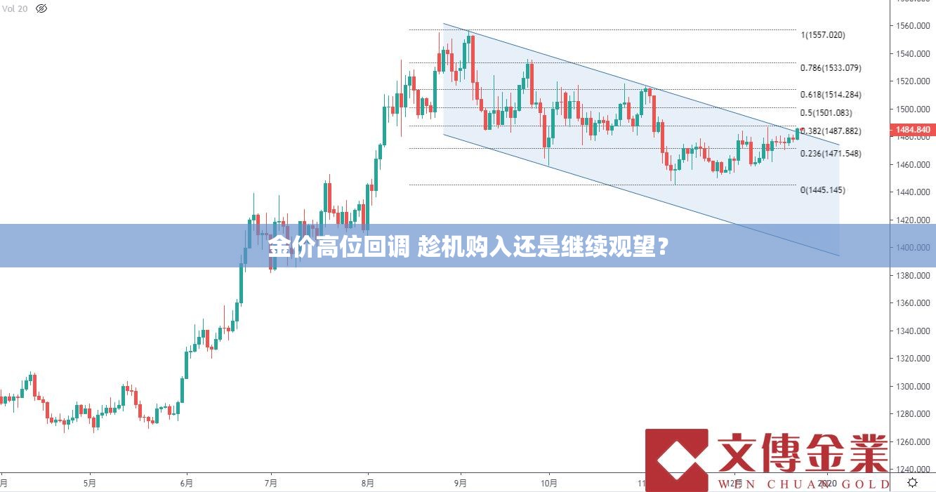唐星雨 第3页