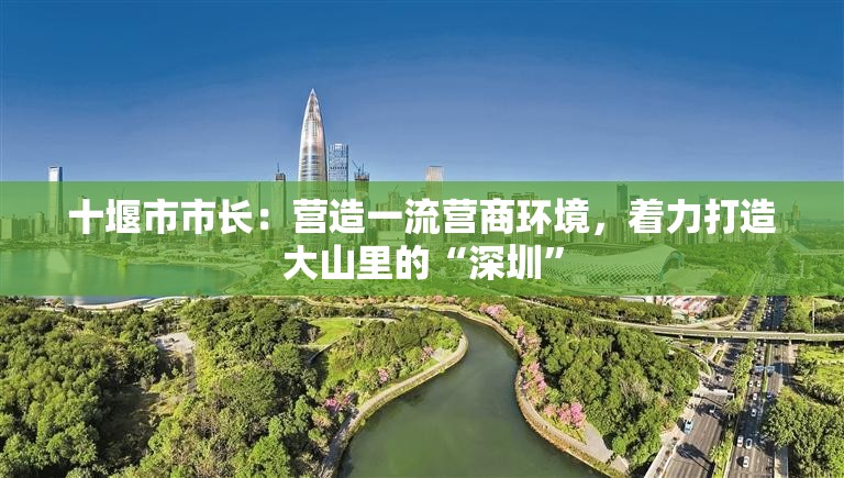十堰市市长：营造一流营商环境，着力打造大山里的“深圳”