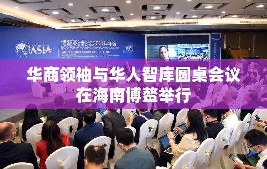 华商领袖与华人智库圆桌会议在海南博鳌举行