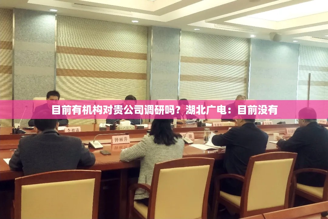 目前有机构对贵公司调研吗？湖北广电：目前没有