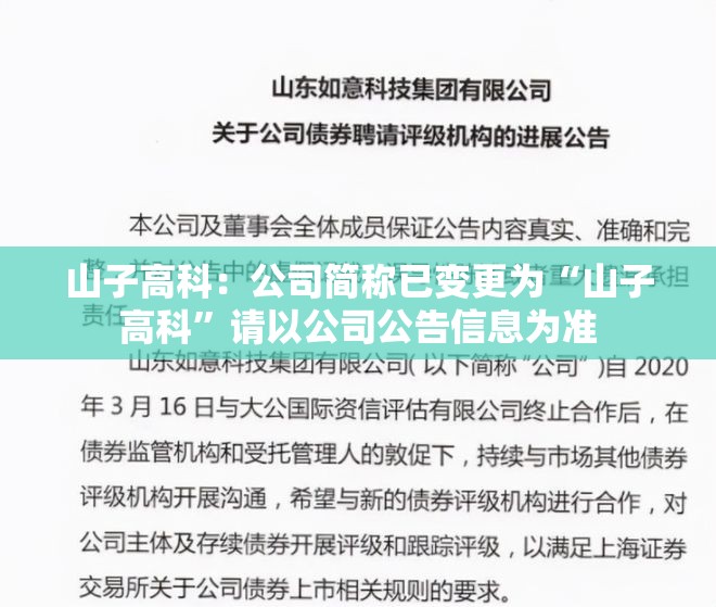 山子高科：公司简称已变更为“山子高科”请以公司公告信息为准