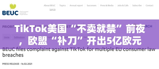 TikTok美国“不卖就禁”前夜，欧盟“补刀”开出5亿欧元罚单