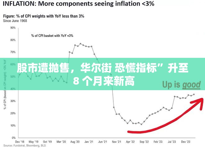 股市遭抛售，华尔街 恐慌指标”升至 8 个月来新高