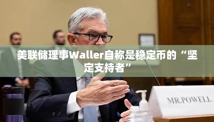 美联储理事Waller自称是稳定币的“坚定支持者”