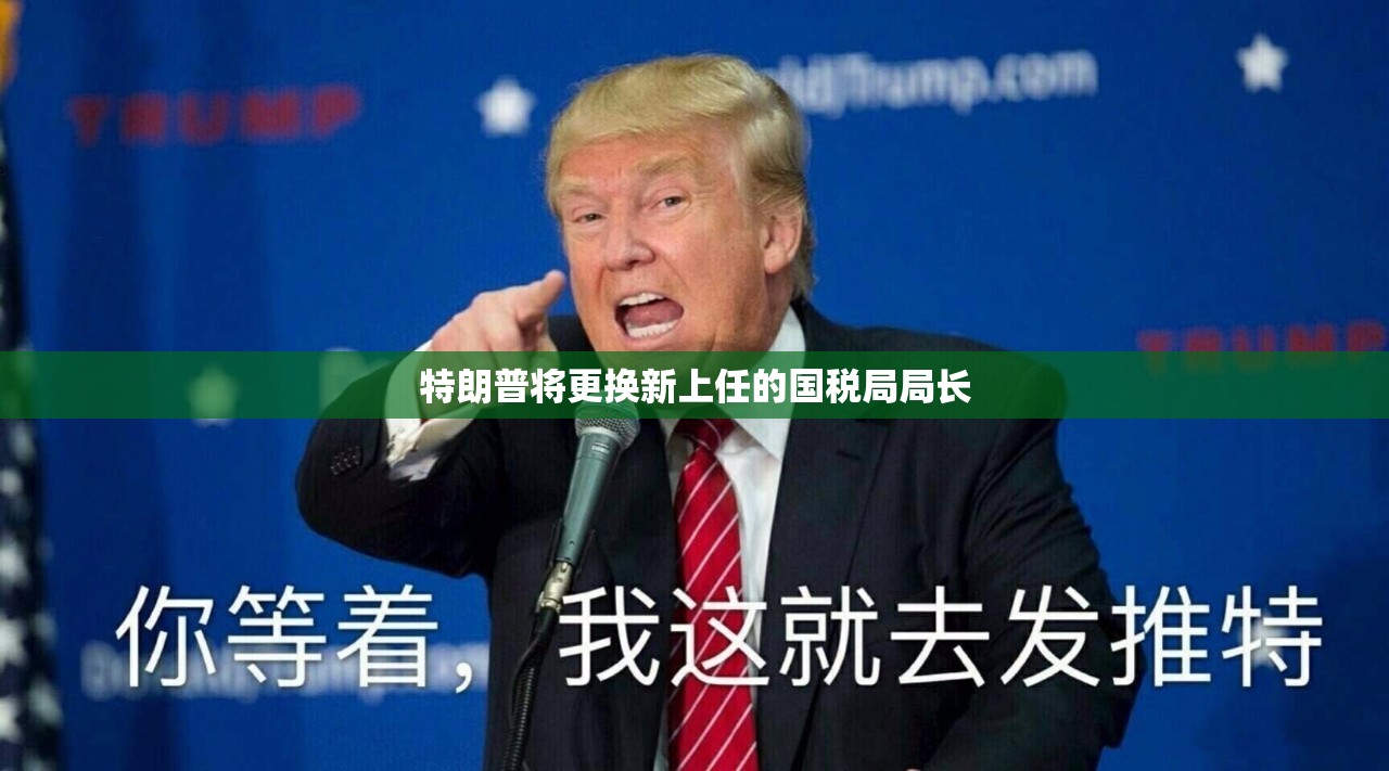 牛鸿畅