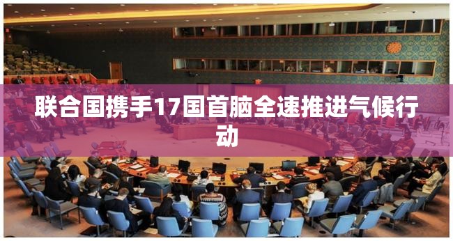 联合国携手17国首脑全速推进气候行动