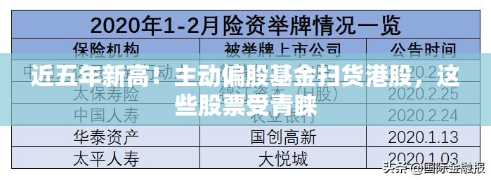 近五年新高！主动偏股基金扫货港股，这些股票受青睐