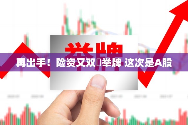 再出手！险资又双叒举牌 这次是A股