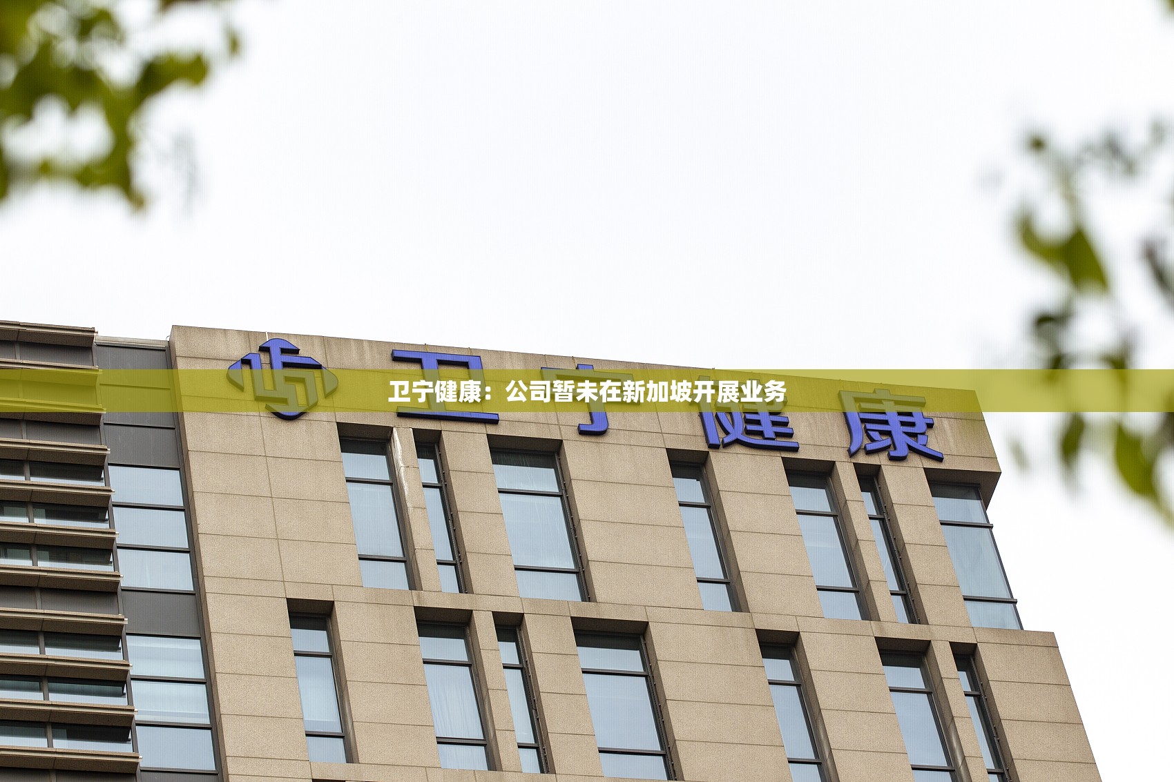 卫宁健康：公司暂未在新加坡开展业务