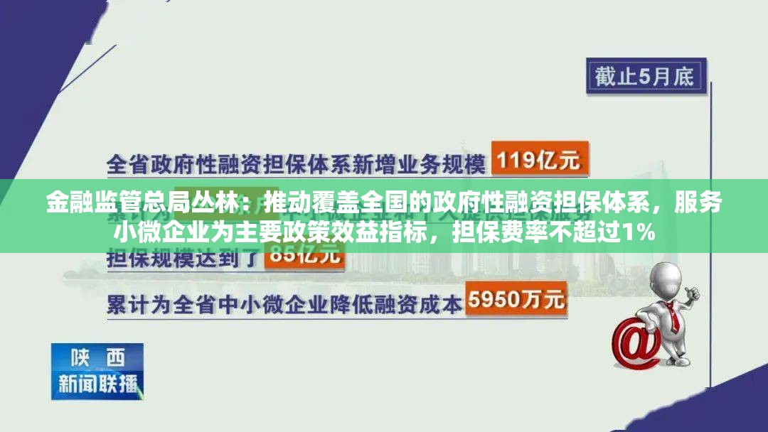 金融监管总局丛林：推动覆盖全国的政府性融资担保体系，服务小微企业为主要政策效益指标，担保费率不超过1%