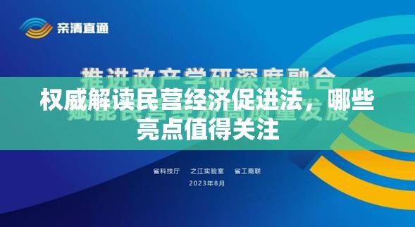 权威解读民营经济促进法，哪些亮点值得关注