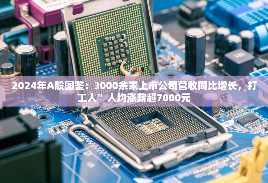 2024年A股图鉴：3000余家上市公司营收同比增长，打工人”人均涨薪超7000元