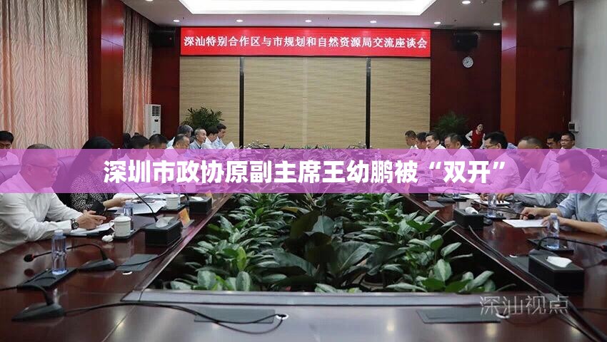 深圳市政协原副主席王幼鹏被“双开”