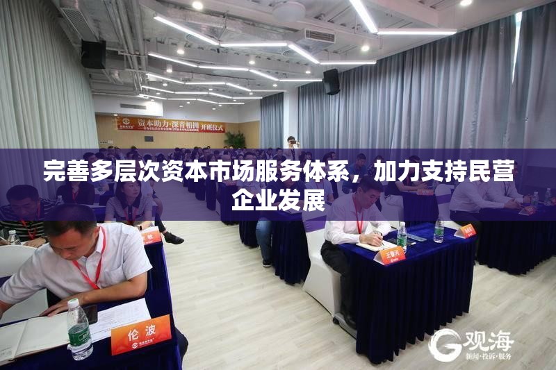 完善多层次资本市场服务体系，加力支持民营企业发展