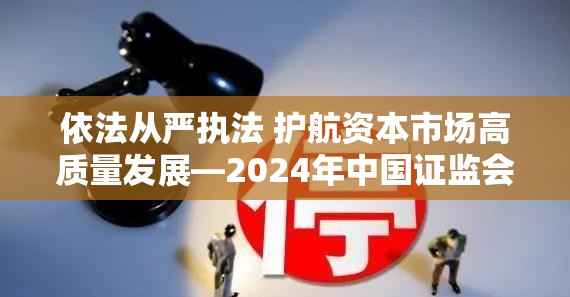 依法从严执法 护航资本市场高质量发展—2024年中国证监会执法情况综述