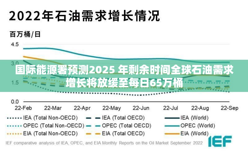 国际能源署预测2025 年剩余时间全球石油需求增长将放缓至每日65万桶