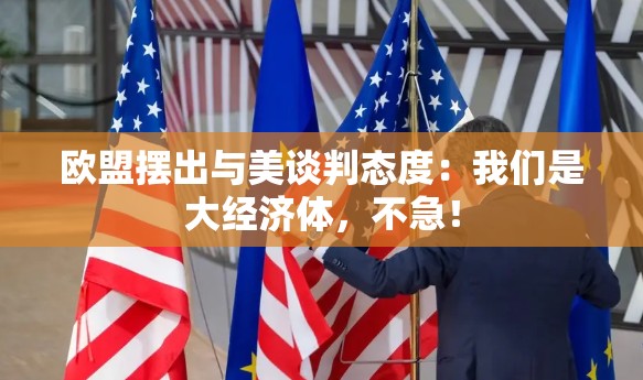 欧盟摆出与美谈判态度：我们是大经济体，不急！