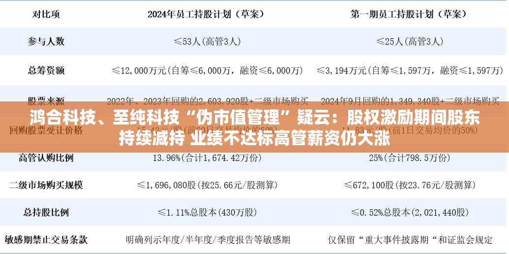 鸿合科技、至纯科技“伪市值管理”疑云：股权激励期间股东持续减持 业绩不达标高管薪资仍大涨
