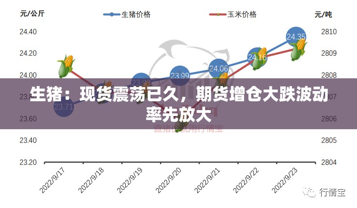 生猪：现货震荡已久，期货增仓大跌波动率先放大