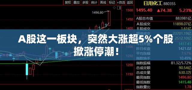 A股这一板块，突然大涨超5%个股掀涨停潮！