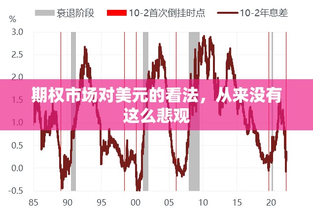 期权市场对美元的看法，从来没有这么悲观