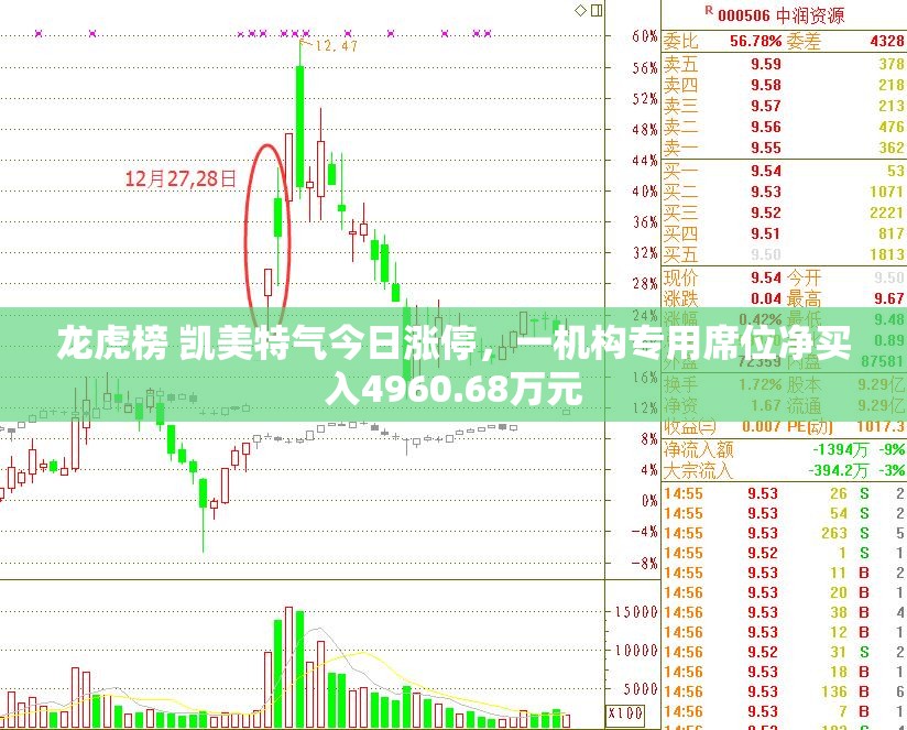 龙虎榜 凯美特气今日涨停，一机构专用席位净买入4960.68万元