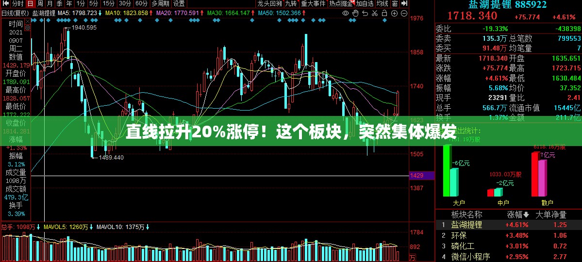 直线拉升20%涨停！这个板块，突然集体爆发
