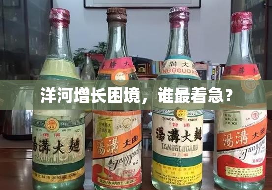 洋河增长困境，谁最着急？