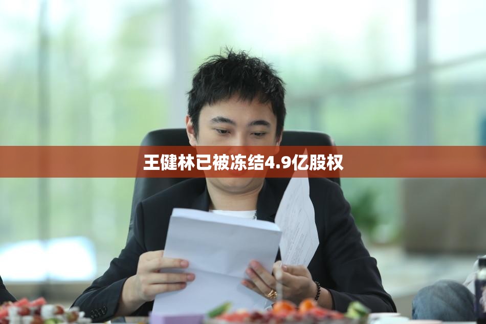 王健林已被冻结4.9亿股权