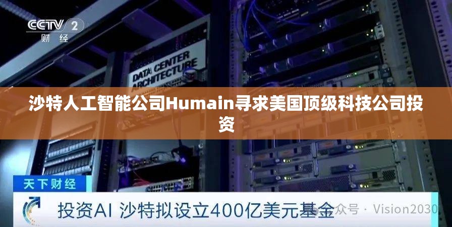 沙特人工智能公司Humain寻求美国顶级科技公司投资