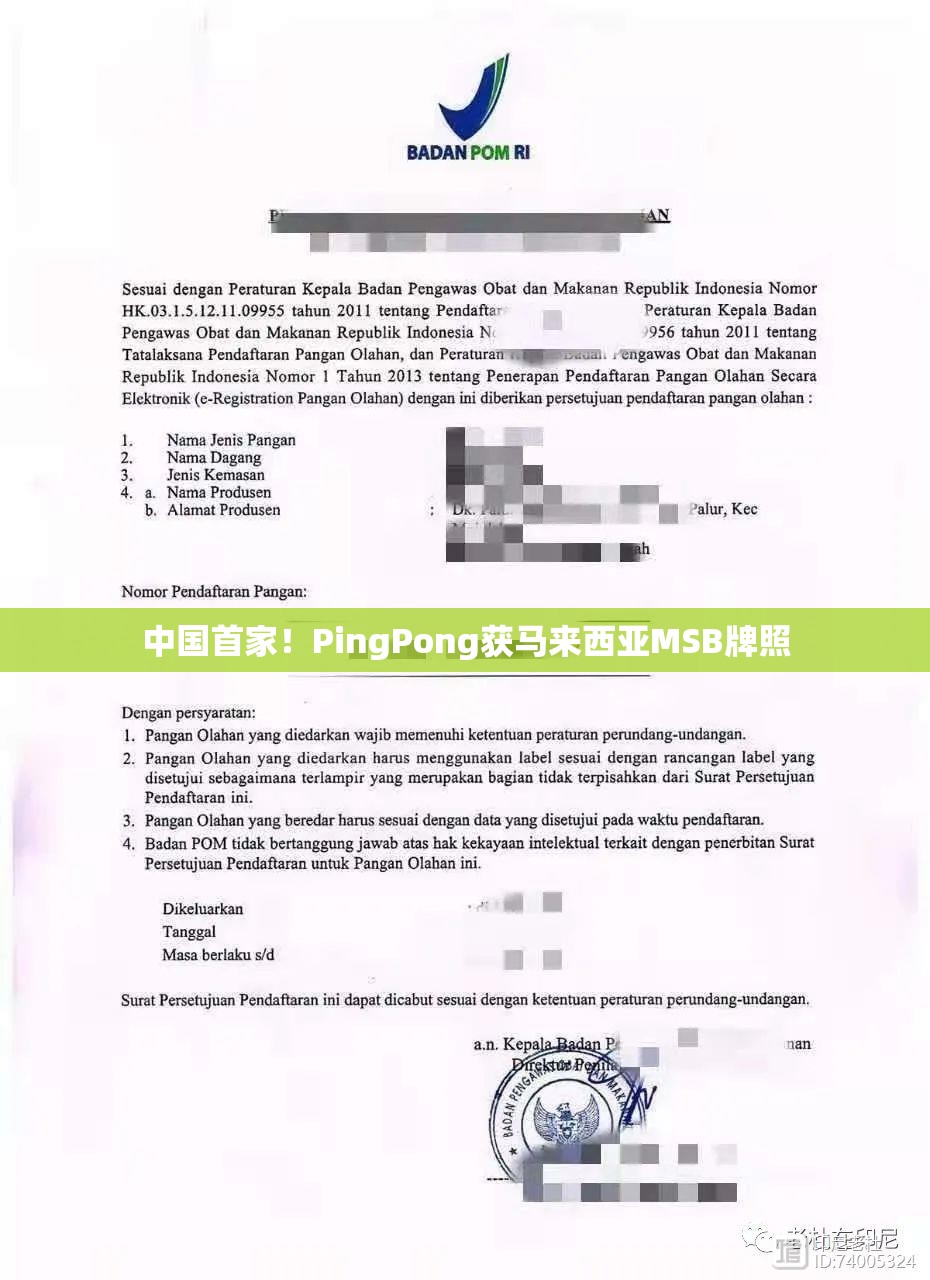 中国首家！PingPong获马来西亚MSB牌照