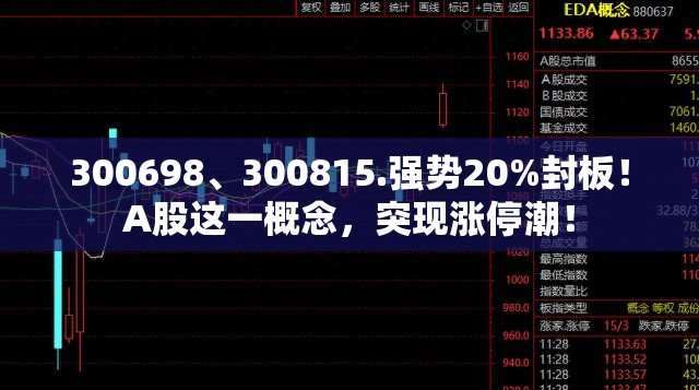 300698、300815.强势20%封板！A股这一概念，突现涨停潮！