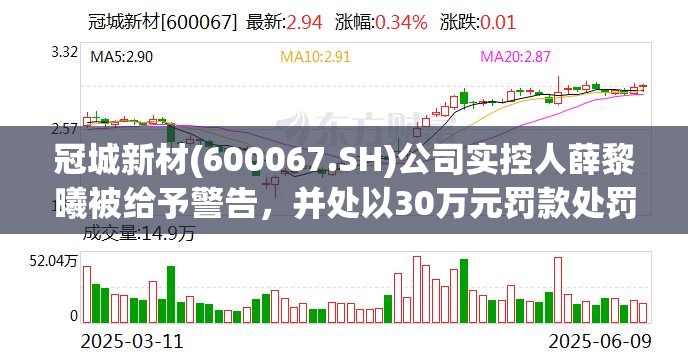 冠城新材(600067.SH)公司实控人薛黎曦被给予警告，并处以30万元罚款处罚