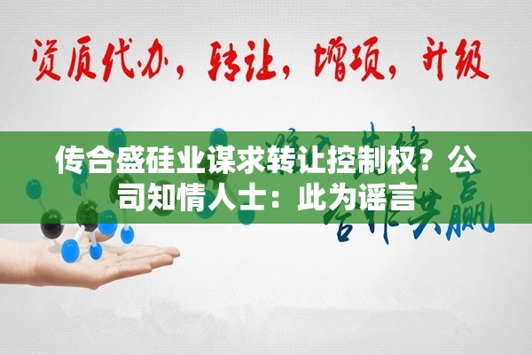 传合盛硅业谋求转让控制权？公司知情人士：此为谣言