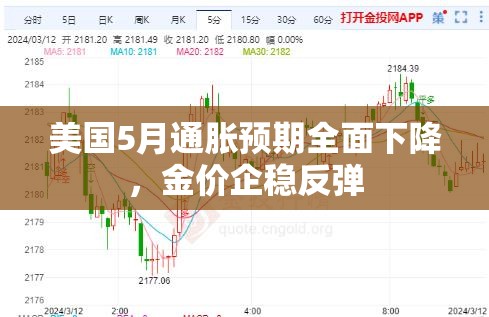 美国5月通胀预期全面下降，金价企稳反弹