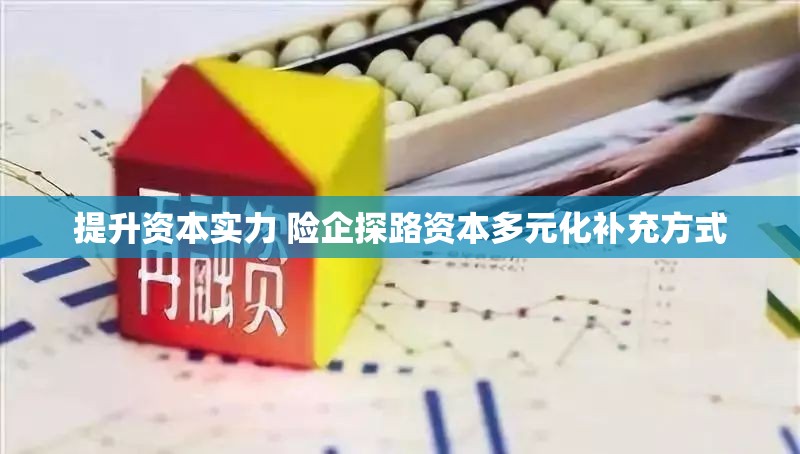 提升资本实力 险企探路资本多元化补充方式